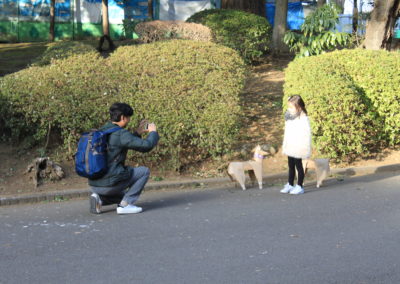 Dogs at Ueno Park with young girl