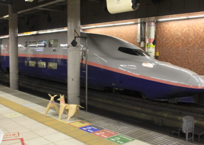 DOGS Shinkansen at Ueno station