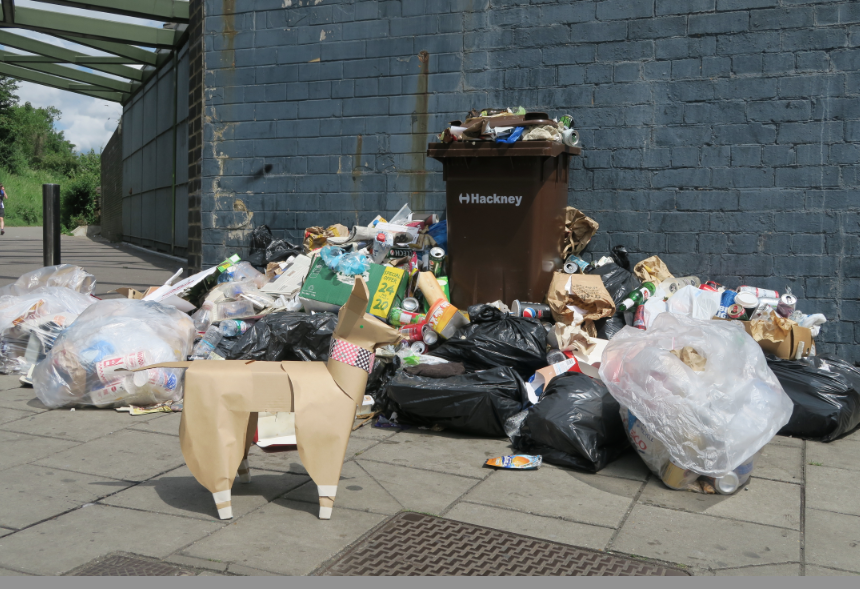 Tokyo Dog looking at a pile of rubbish in dismay. Photograph taken by Akane Takayama.