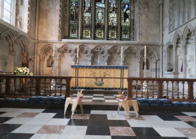 DOGS in St.Albans Church